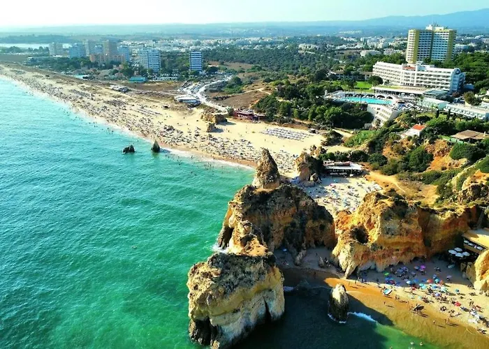 Golfinho * Portimão