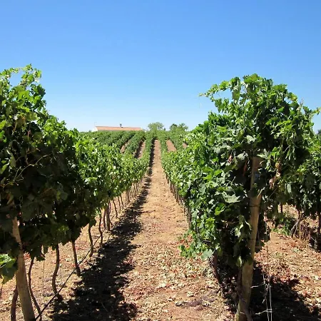 アパート Golfinho *