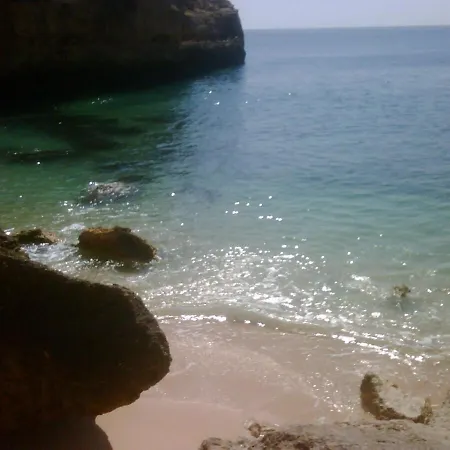 Golfinho ポルティマン